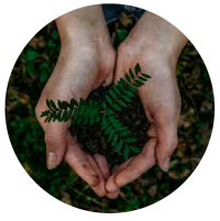 PROPUESTAS MARIATE MONTOYA 105 (1)-06